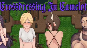 Crossdressing in Camelot Walkthrough & Guide